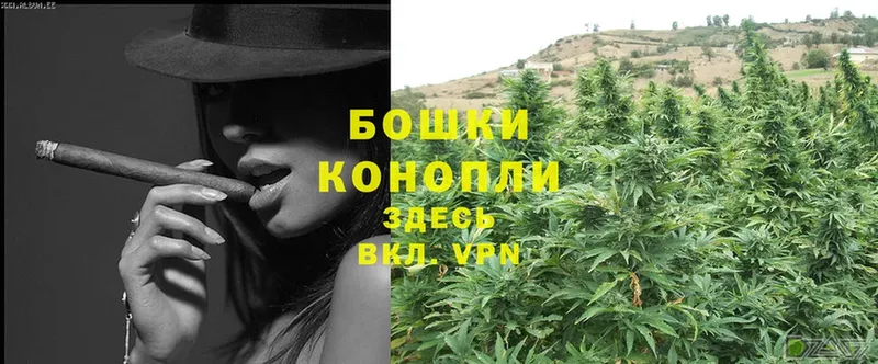 цены наркотик  Гаджиево  Бошки марихуана SATIVA & INDICA 